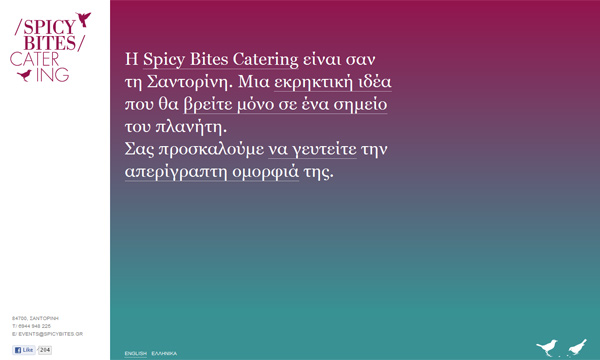 Spicy Bites Catering
